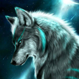 عکس کاربر - mou3anyc
