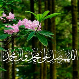 عکس کاربر - مهدی راد