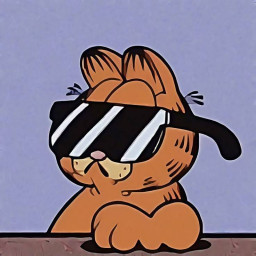 عکس کاربر - 🐈✨️ 𝙈𝙧. 𝙂. 𝙁. 🧡🐱