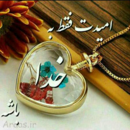 عکس کاربر - امیر