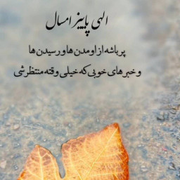 عکس کاربر - Emran12