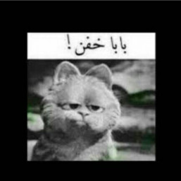 عکس کاربر - ooo