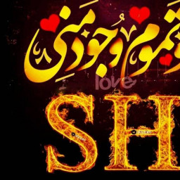 عکس کاربر - Shafigh