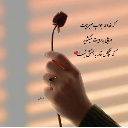 عکس کاربر