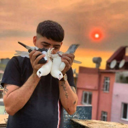 عکس کاربر - JiHAT__MILAN