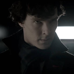 عکس کاربر - Mr. Holmes