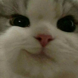 عکس کاربر