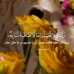 عکس کاربر - 🌺🌸🌷غزل🌷🌸🌺