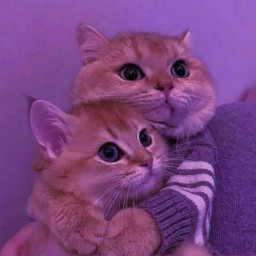 عکس کاربر