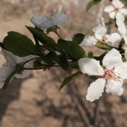 عکس کاربر - nava