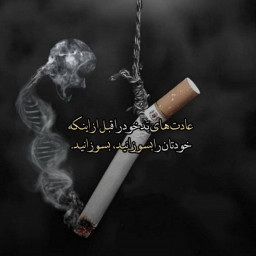 عکس کاربر - Amir