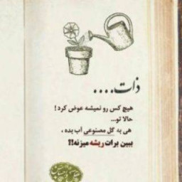 عکس کاربر - حامد