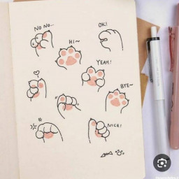 عکس کاربر - پیشی 🐈