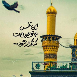 عکس کاربر - Amir//88