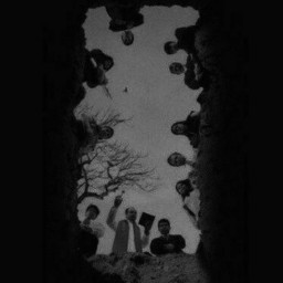 عکس کاربر - ستیلا
