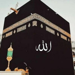 عکس کاربر - @arvin