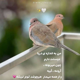 عکس کاربر - …ᘛ⁐̤ᕐᐷฅ^•ﻌ•^ฅAREZOO
