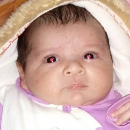 عکس کاربر - جواد نوروزی نژاد