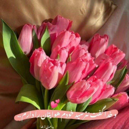 عکس کاربر - عاشق
