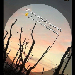 عکس کاربر - ۵۱۹۰۸۲