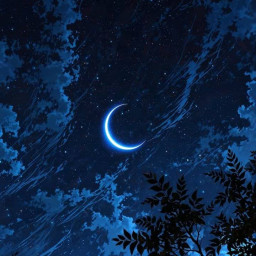 عکس کاربر - Seyed