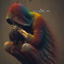 عکس کاربر - mohsen nikoo