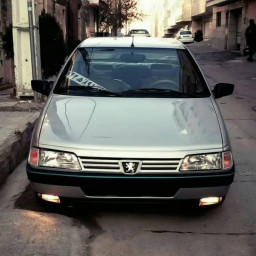 عکس کاربر - داینو