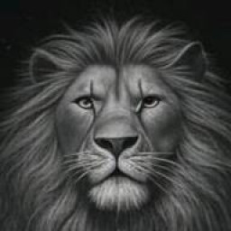 عکس کاربر - abolfazl