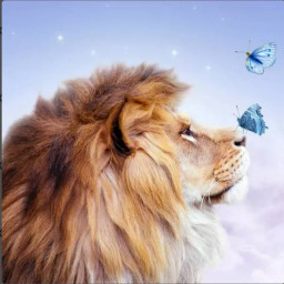 عکس کاربر - ᘻᓍᕼᗩᘻᘻᗩᕲ ᕼᘿSᗩᘻ