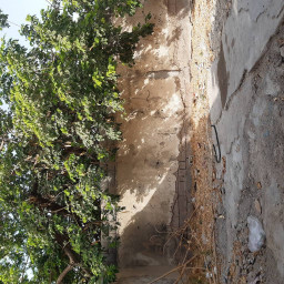 عکس کاربر - 09385852913
