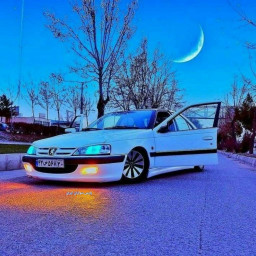 عکس کاربر - Erfan Sepehri