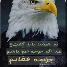 عکس کاربر