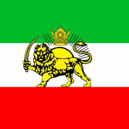 عکس کاربر - محمد طاها حبیب زاد