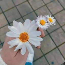 عکس کاربر - زهرا