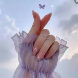 عکس کاربر - مبینا