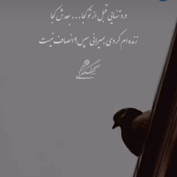 عکس کاربر - علی