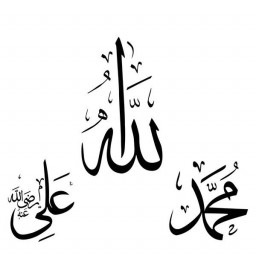 عکس کاربر - Alone Warrior