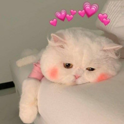 عکس کاربر - ᴍᴍᙆ