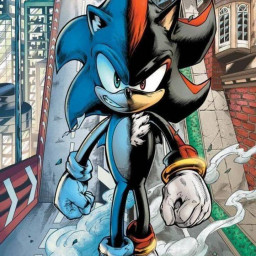 عکس کاربر - sonic the hedgehog 🦔❤🧡