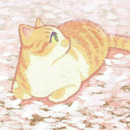 عکس کاربر - 🐈사이코노 소토카🌸|تابستون میام