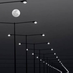 عکس کاربر - ابوالفضل 