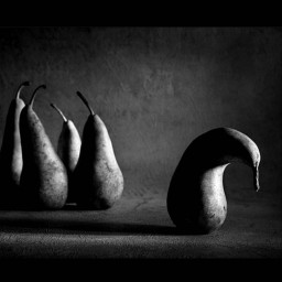 عکس کاربر - ‌…‌