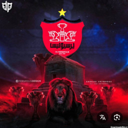 عکس کاربر - محمد