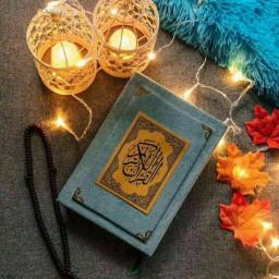 عکس کاربر - Shia