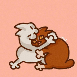 عکس کاربر - ♡♡♡♡