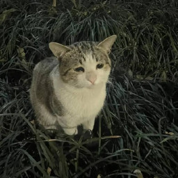 عکس کاربر - SETI