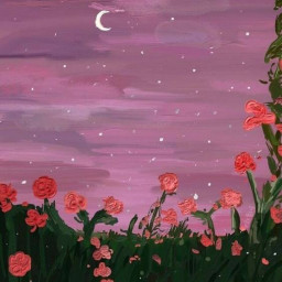 عکس کاربر - سروا