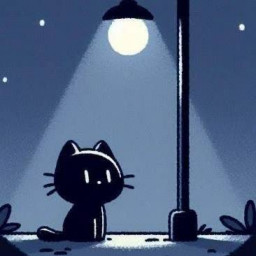 عکس کاربر - Only cat🖤