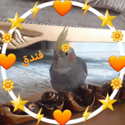 عکس کاربر