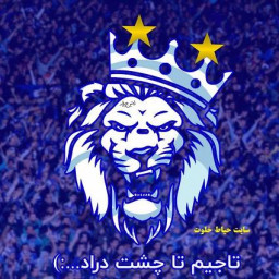 عکس کاربر - امیر